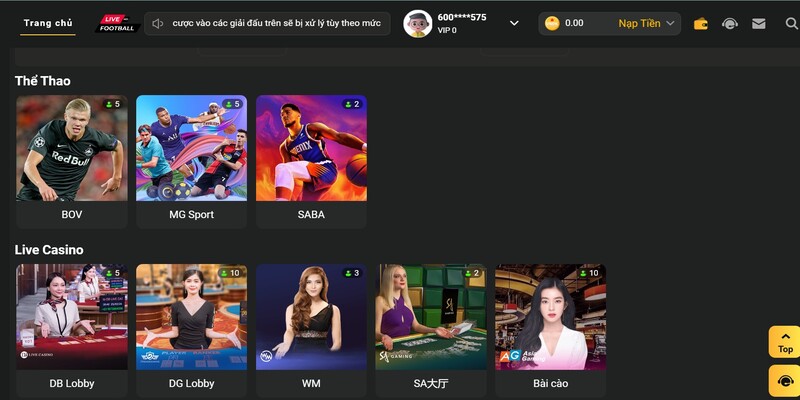 Thông tin giới thiệu về B8B Thông tin giới thiệu về B8B