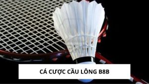 Cá cược cầu lông