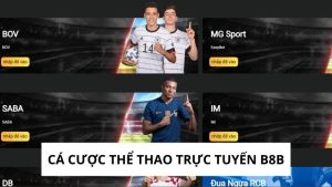 Cá Cược Thể Thao Trực Tuyến