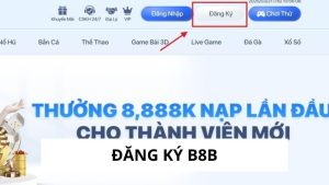 Đăng ký B8B