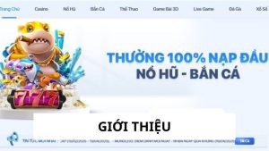 giới thiệu b8b