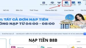Nạp Tiền B8b